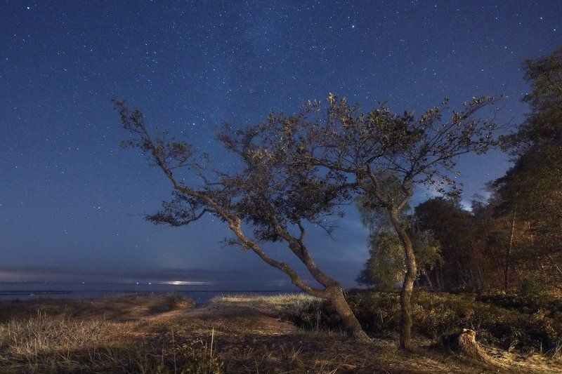 Осеннее небоphoto preview