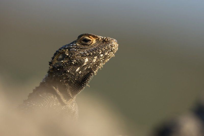 турция Вижу...photo preview