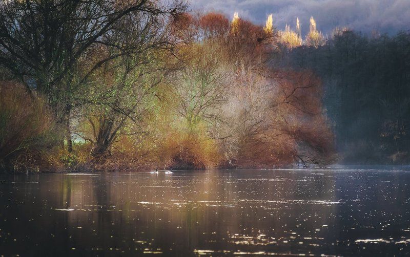 Декабрь, Деревья, Зима, Отражение, Река, Утки Дыханье декабря ..photo preview