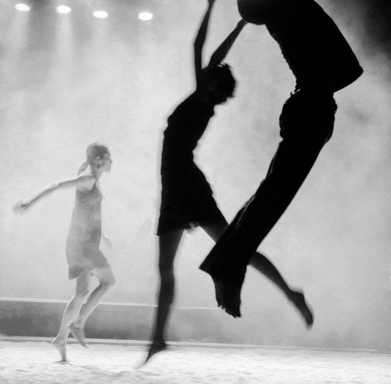 В мире животныхphoto preview