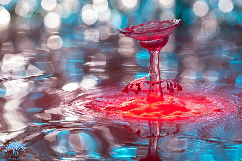 сергейтолмачев, вода, капли, скульптурыизводы, всплеск, уменянакухне, жидкоеискусство, Капля в мини юбкеphoto preview