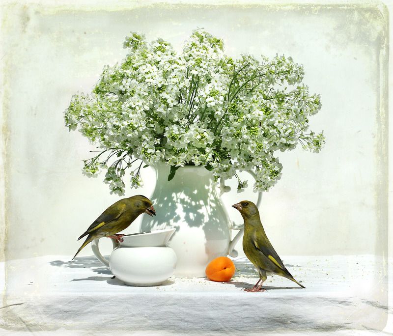 Букет хреновыйphoto preview