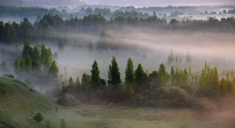 Веснаphoto preview