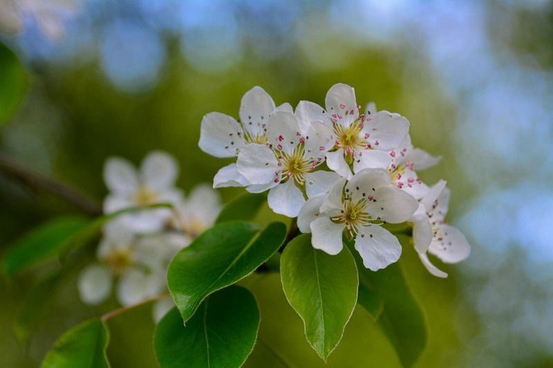 *** ***photo preview