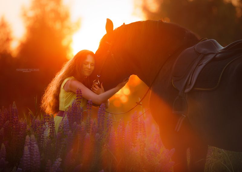 horse, horses, лошадь, конь, конныйфотограф, кэнон, canon, 7020028, лошади, фотографияслошадью, фотосессияслошадью, конный фотограф Яна Орлова,  фотосессиислошадьми, коннаяфотография, pferd, horsephotographer, женский портрет, девушка   фото превью