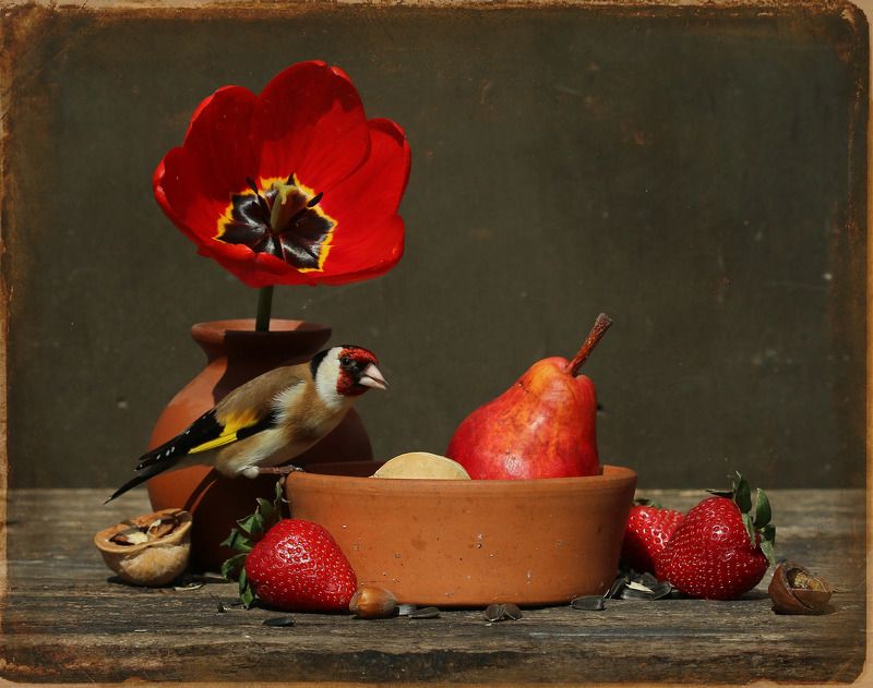 щегол Натюрморт под щеглаphoto preview