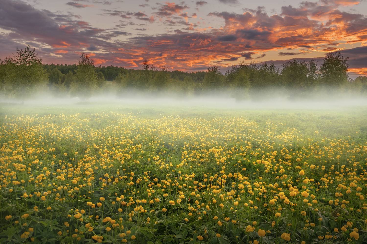 Фототуры с Владимиром Рябковым, #topnature #russpasibo #magic_shots #lovelyRussia #sunset_vision #exclusive_sky  #exclusive_shots #loves_russia2 #photoarena_nature #nature_sultans #nature_perfection #rsa_sky #rsa_sunset #photorussia #rsa_naturepics #sunse, Владимир Рябков