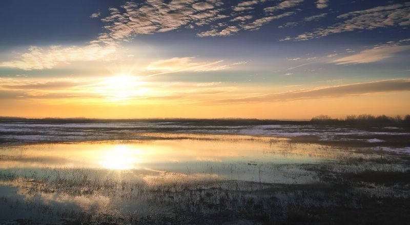 тула, прилепы Весна тульских полейphoto preview