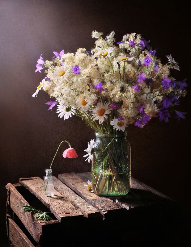 луг, полевые цветы, лето, ромашки, колокольчики, мак Приглашая в летоphoto preview