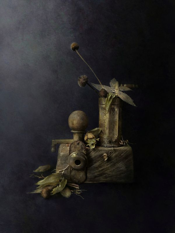 Phisalisphoto preview