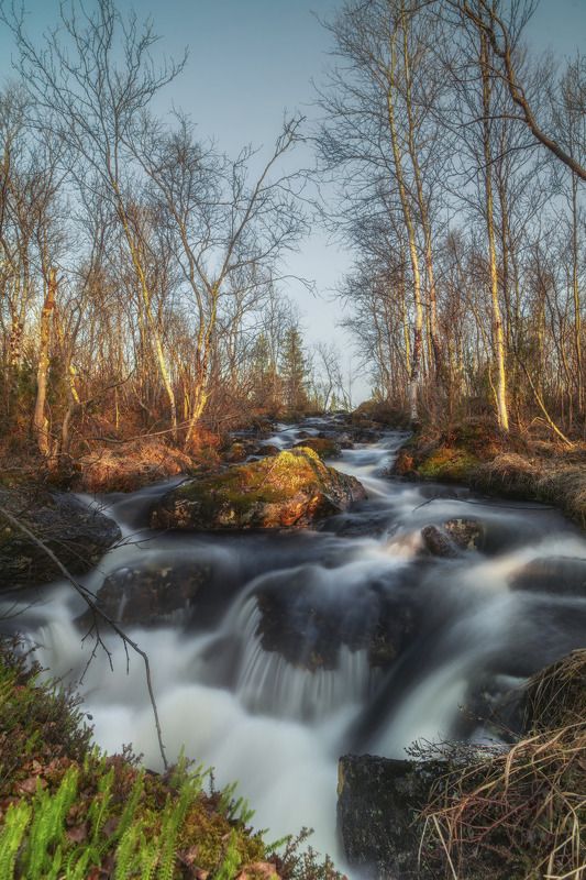 весенний ручейphoto preview