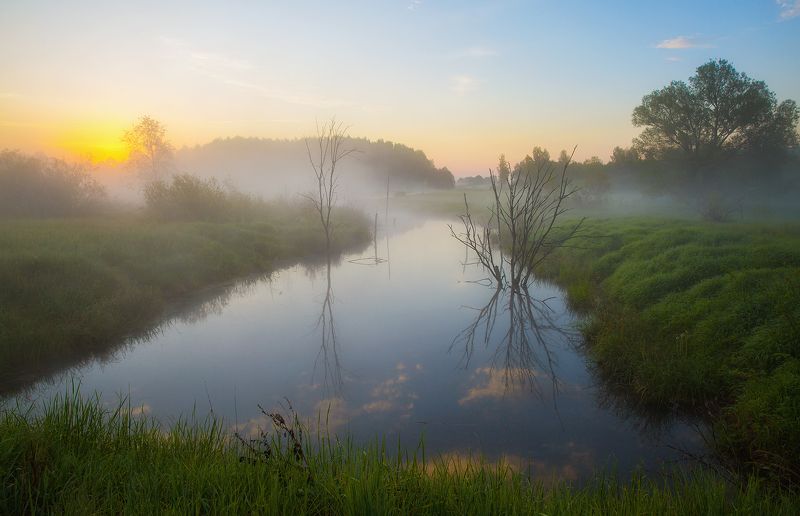утро, рассвет, туман, пейзаж Туманное рассветноеphoto preview