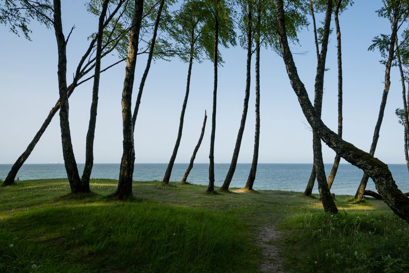 #калининград, #балтийское_море photo preview