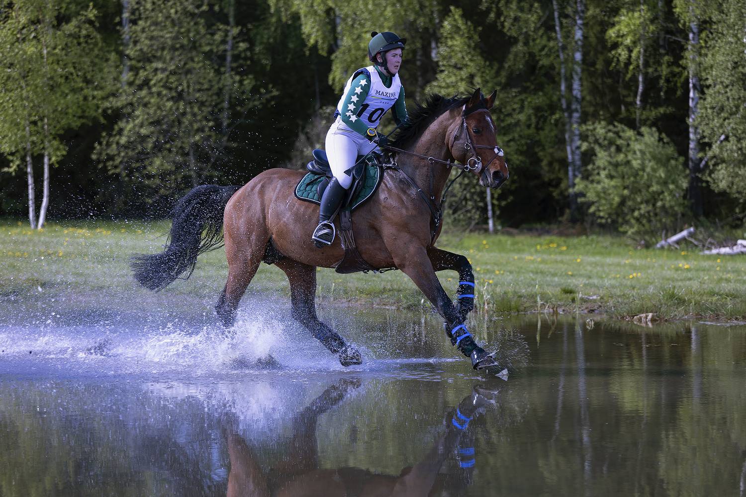 спорт, троеборье, конкур, гонка, соревнования, sports, horses, movement, jump, Стукалова Юлия