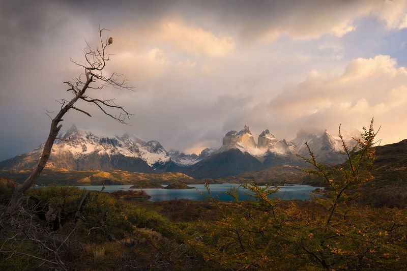 Guardian Of Torresphoto preview