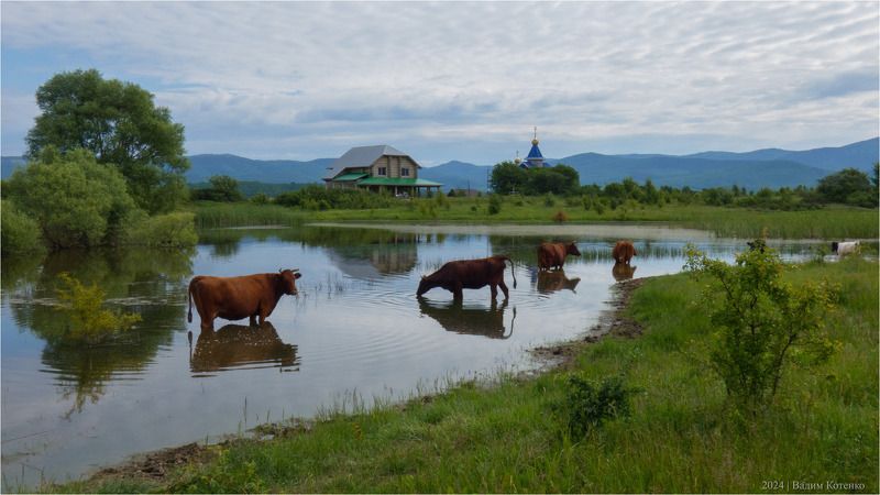 Байдарская пасторальphoto preview