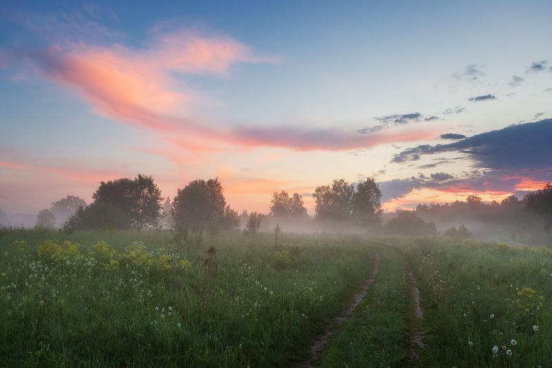 истра, утро, лето, туман, подмосковье Летнее утроphoto preview