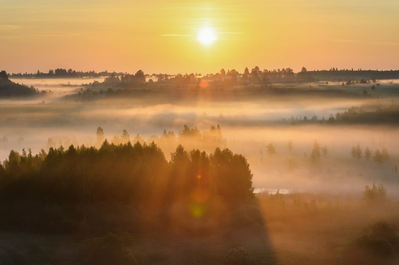 псков, пейзаж, Вот и летоphoto preview