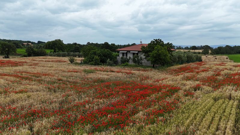 Весна в Тоскане, макиphoto preview