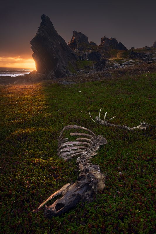 север, рыбачий, кекурский, скалы, фототур Про драконовphoto preview