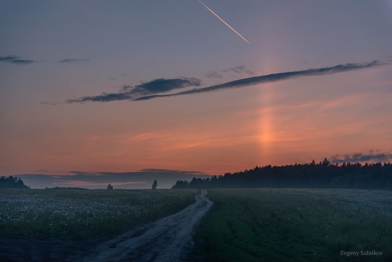 закат световой солнечный столб поле дорога одуванчики лес Солнечный (световой) столб на закате фото превью