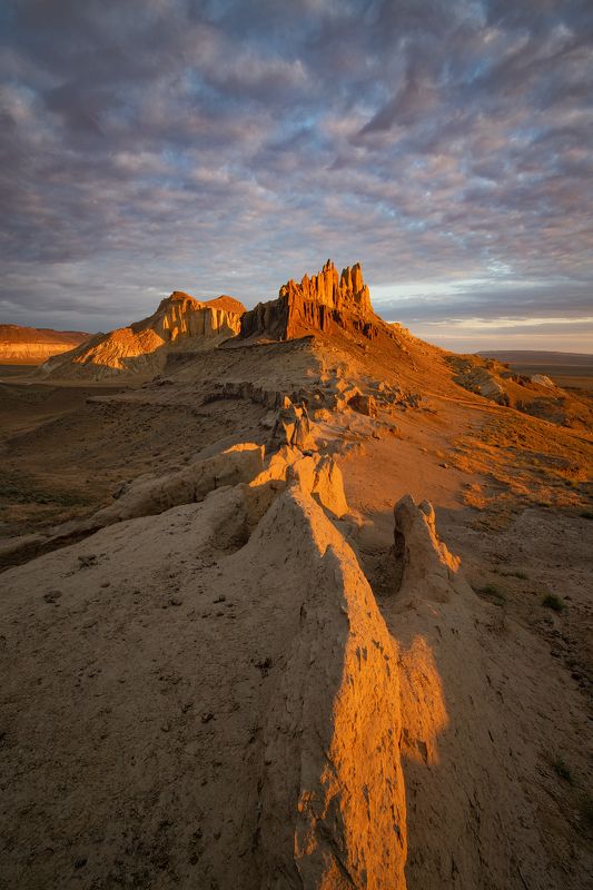 Золотой Дракон.photo preview