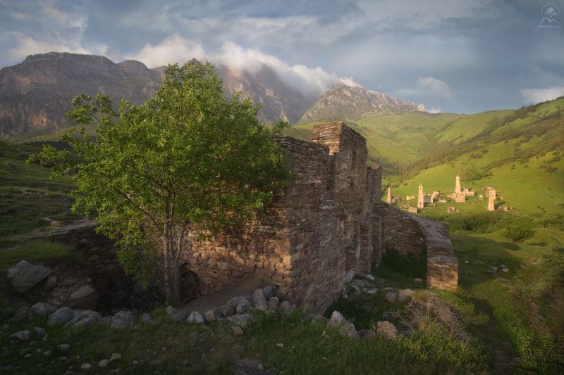 кавказ, ингушетия, эрзи, фототур в ингушетию, таргим, башни Башни Таргимphoto preview