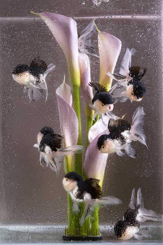 Фотопроект \