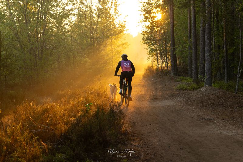 Белые ночи 2024photo preview