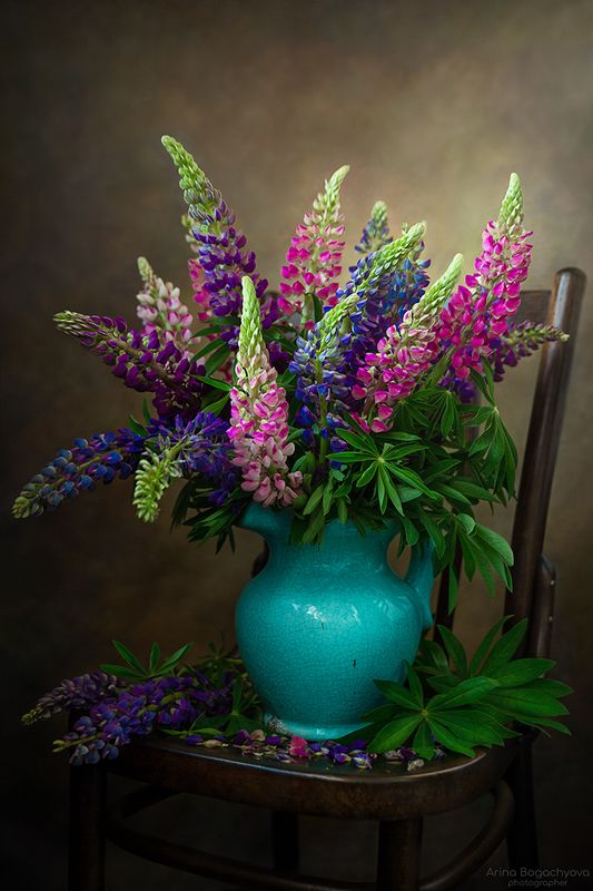 *** фото превью