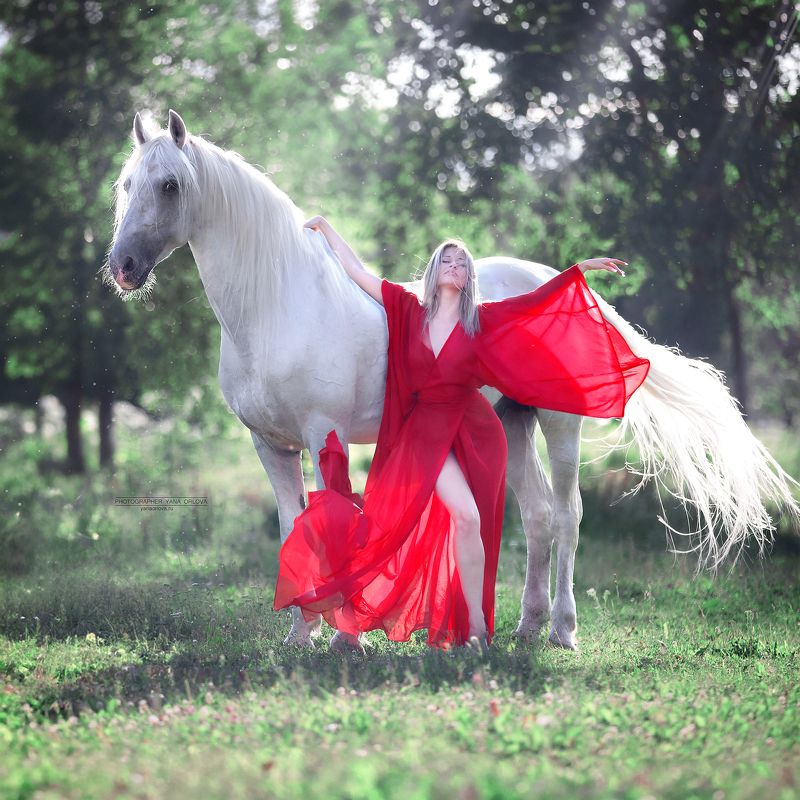 horse, конный фотограф Яна Орлова, horses, лошадь, конь, конныйфотограф, кэнон, canon, 7020028, лошади, фотографияслошадью, фотосессияслошадью, орловскийрысак, фотосессиислошадьми, коннаяфотография, pferd, horsephotographer, женский портрет, девушка   фото превью