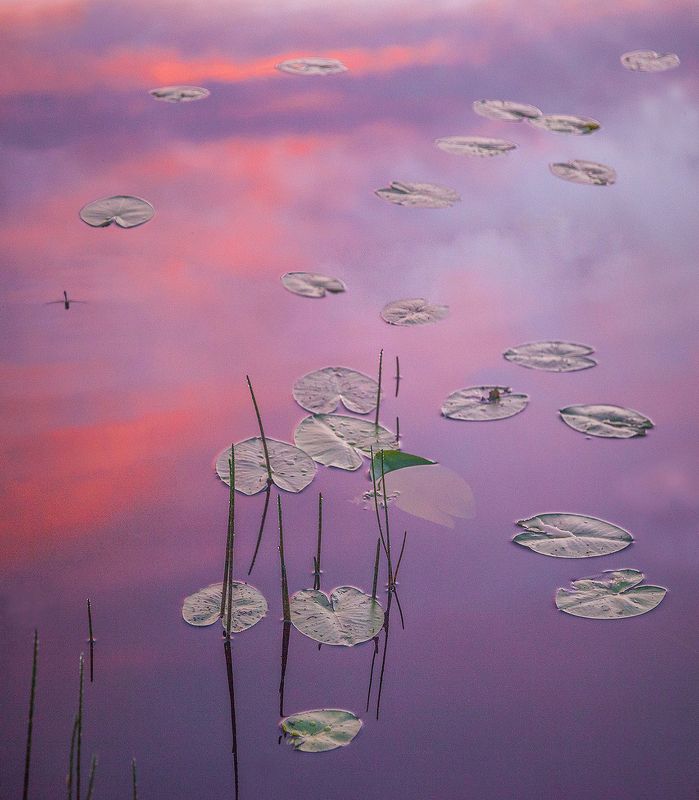 Утренний этюдphoto preview