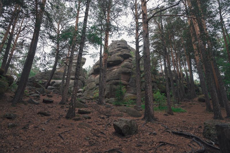 Столбыphoto preview