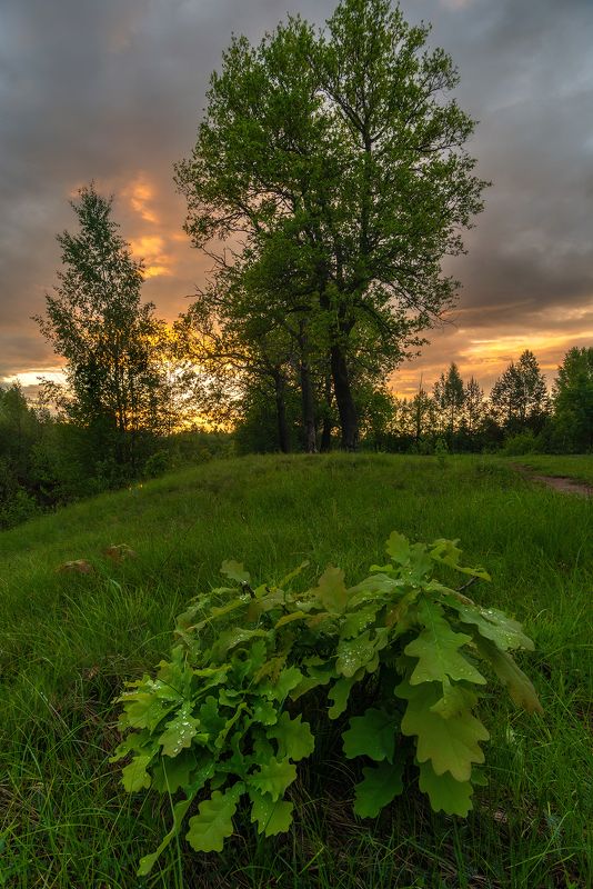 краски закатаphoto preview