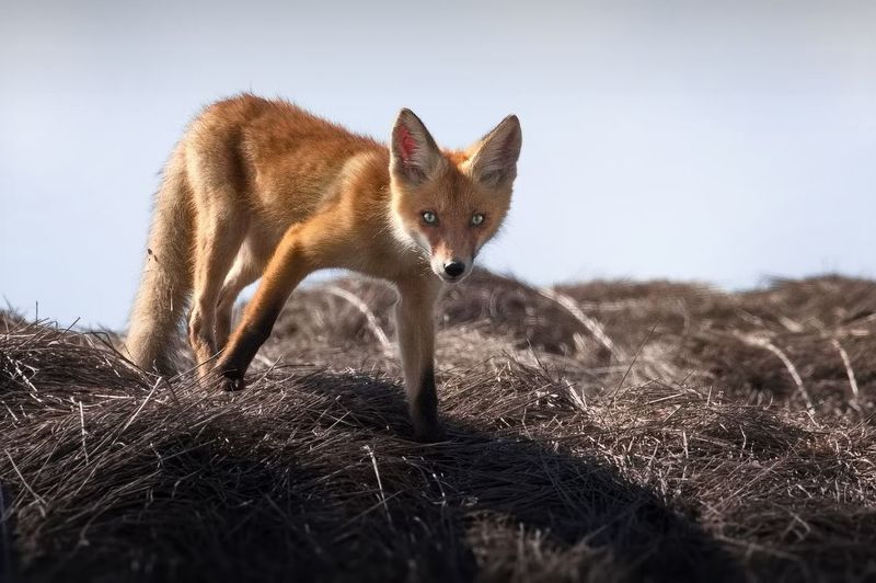 А ты сними, сними меня, фотограф:)photo preview