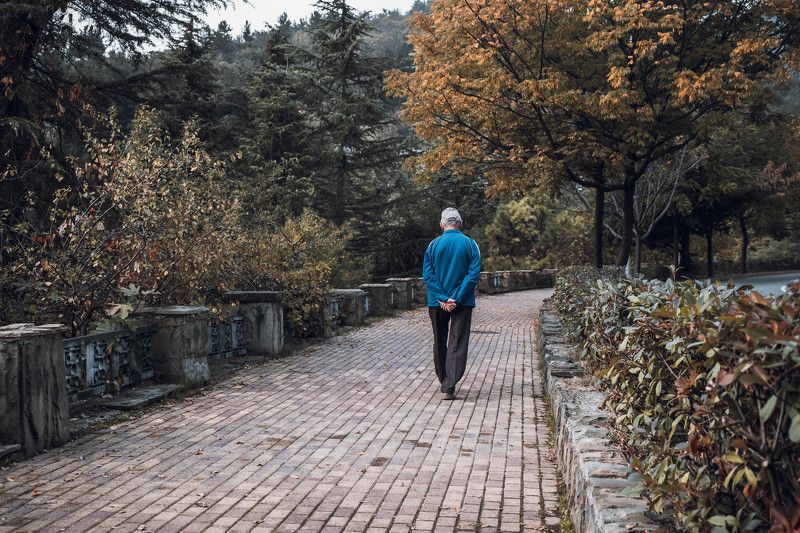 nature, landscapy, autumn, природа, пейзаж, сочи, осень Вечерняя прогулка фото превью