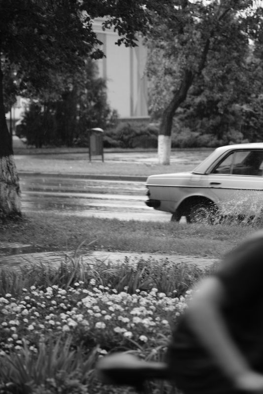 Дождьphoto preview