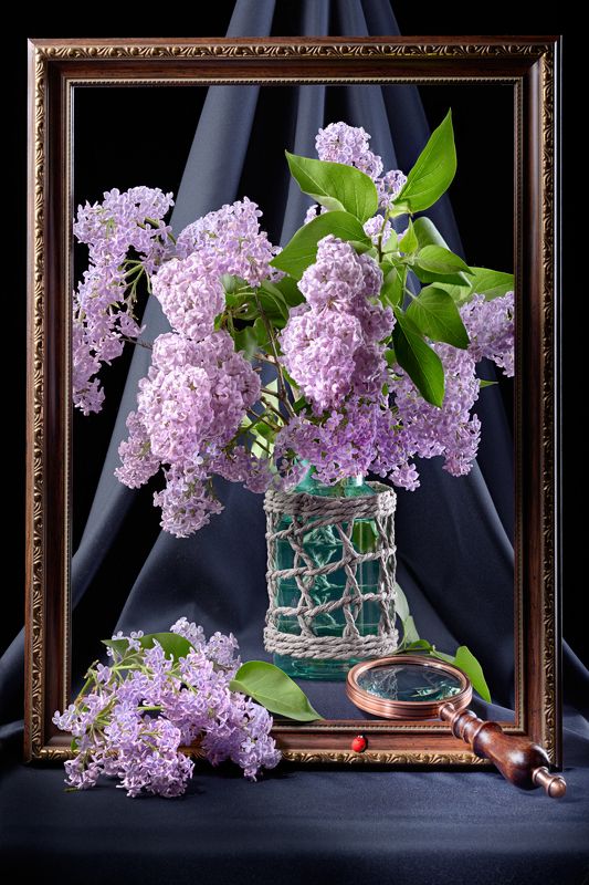 Этюд романтический, энтомологический...photo preview