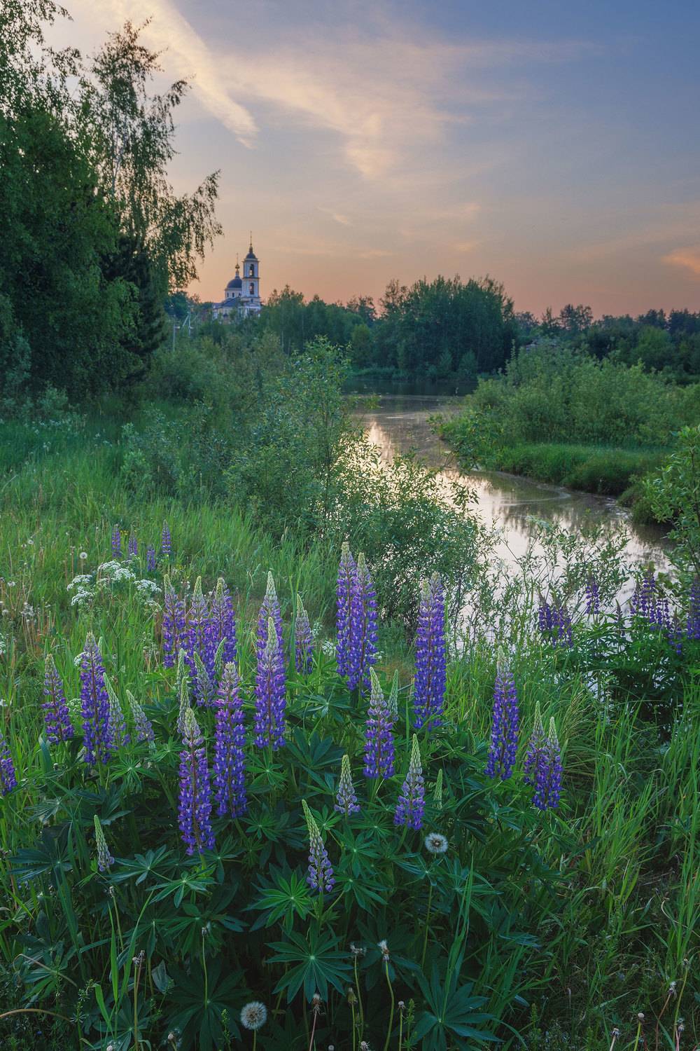 Автор: Морозов Сергей , Морозов Сергей