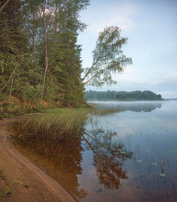 Берег лесного озераphoto preview