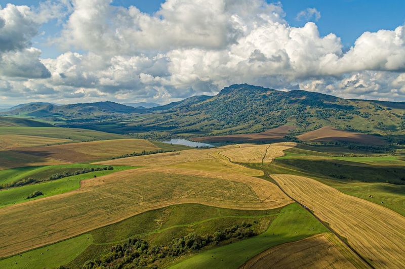 Природа Алтаяphoto preview