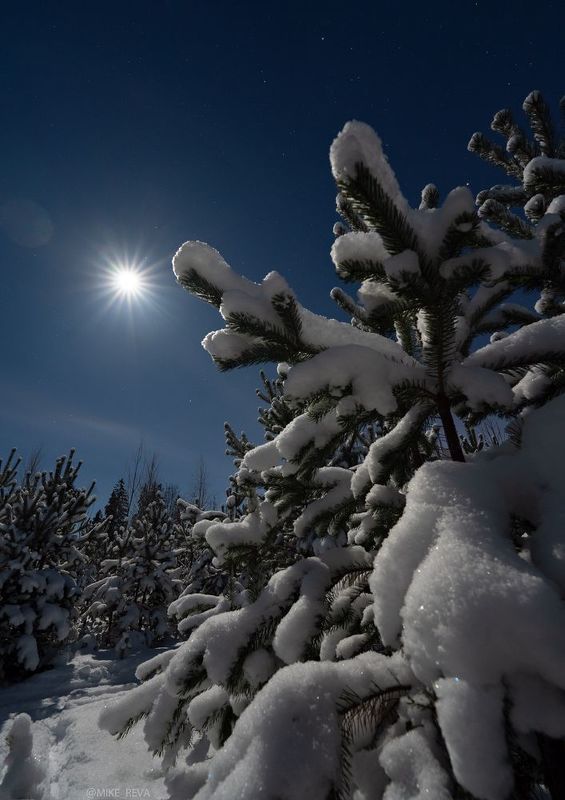 Одной Лунной ночью фото превью