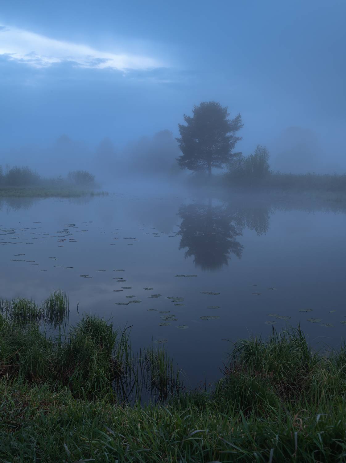 , Истомин Виталий