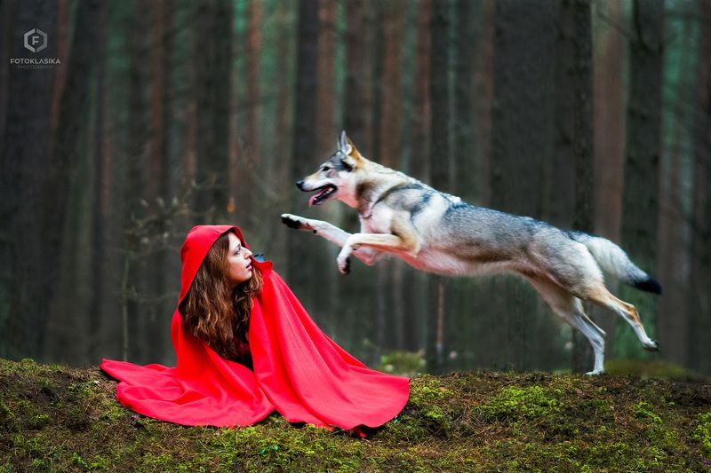 portrait, littleredridinghood, forest, dogs, dog, model, red, nikon, d7100, 85mm Little Red Riding Hood vol1photo preview