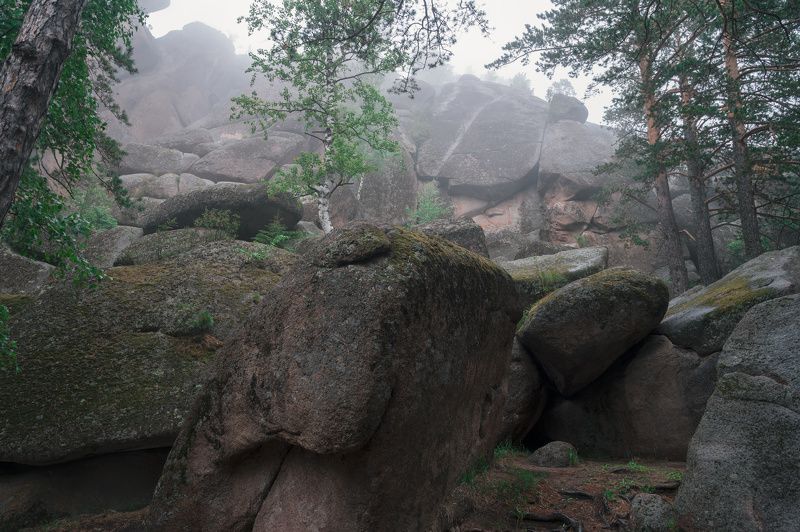 Столбыphoto preview