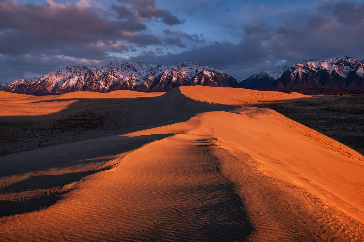 , Максим Евдокимов