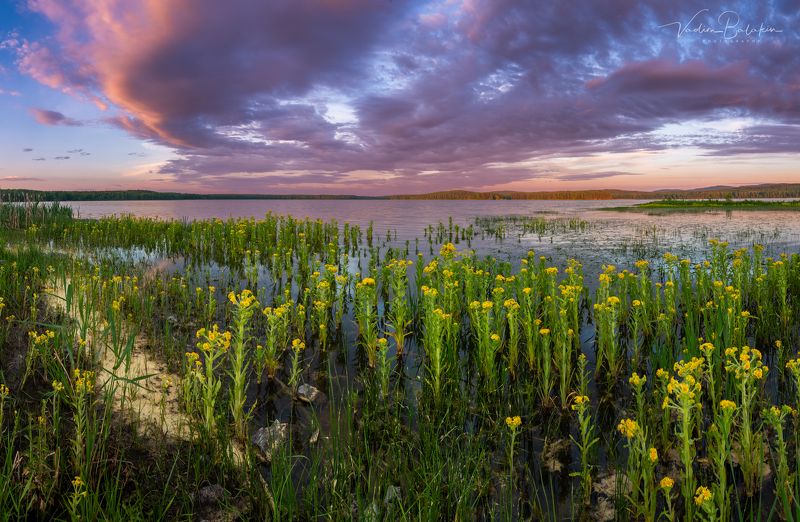 Острова Ершовы фото превью