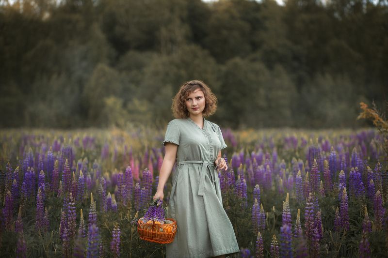 Люпины фото превью