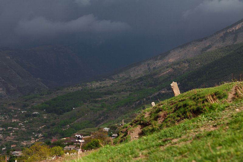 В Гоореphoto preview