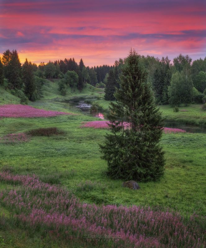... в серединке лета ...photo preview